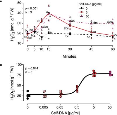 ATM and ATR, two central players of the DNA damage response, are involved in the induction of systemic acquired resistance by extracellular DNA, but not the plant wound response